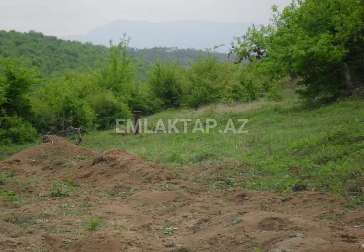 12 sot Torpaq Satılır, Qusar