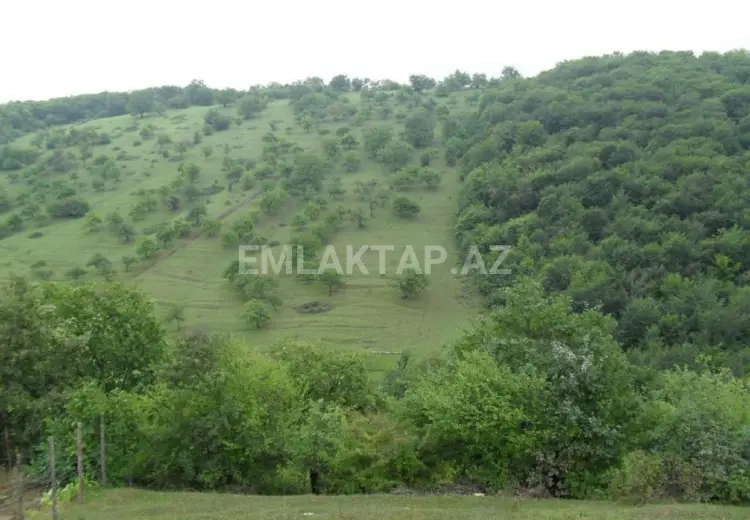 12 sot Torpaq Satılır, Qusar