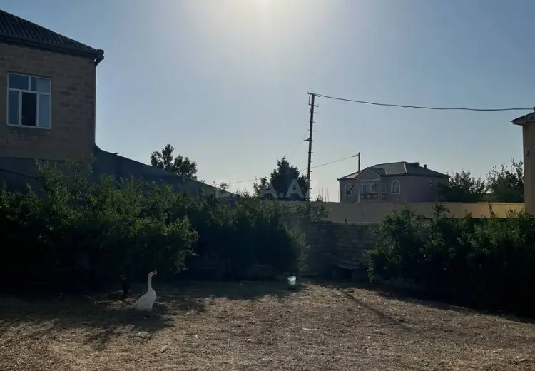 10 sot Torpaq Satılır, Saray, Abşeron