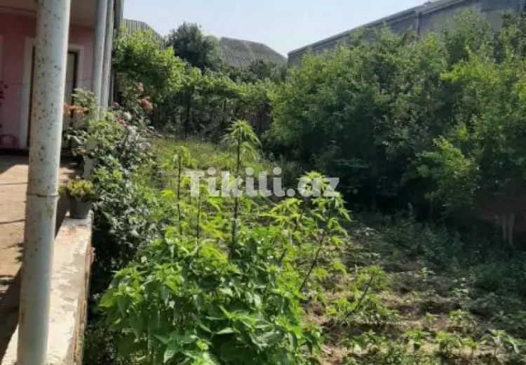 0 sot Torpaq Satılır, Binə qəs., Xəzər, Bakı