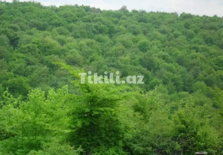 0 sot Torpaq Satılır,
