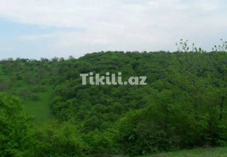 0 sot Torpaq Satılır,
