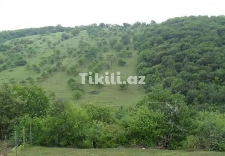 0 sot Torpaq Satılır,