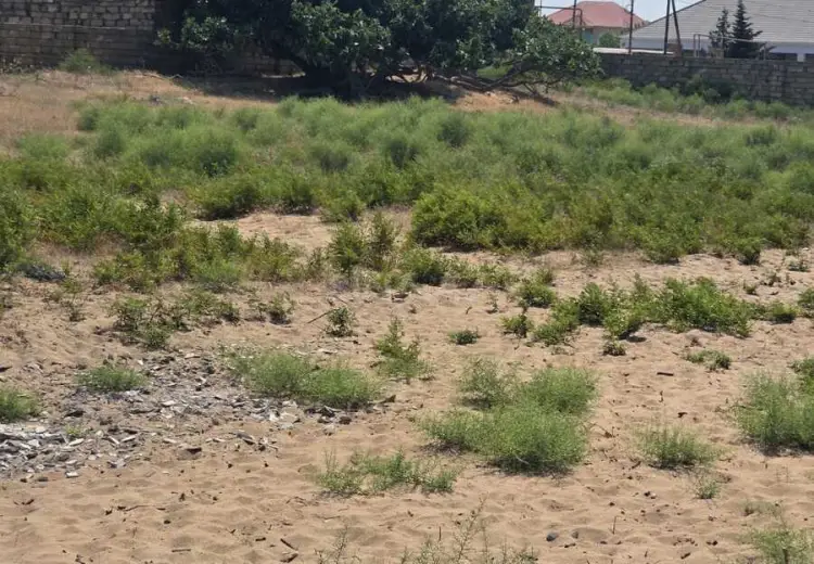 6 sot Torpaq Satılır, Nardaran qəs., Sabunçu, Bakı