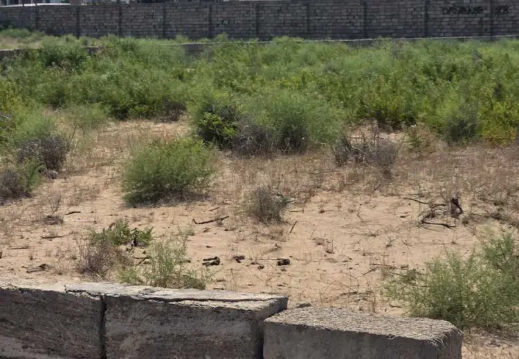 6 sot Torpaq Satılır, Nardaran qəs., Sabunçu, Bakı