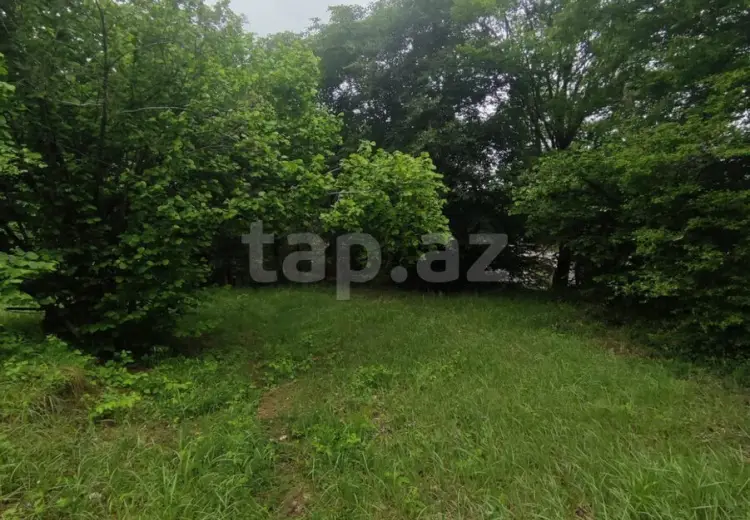 0 m² Obyekt / Ofis , Quba