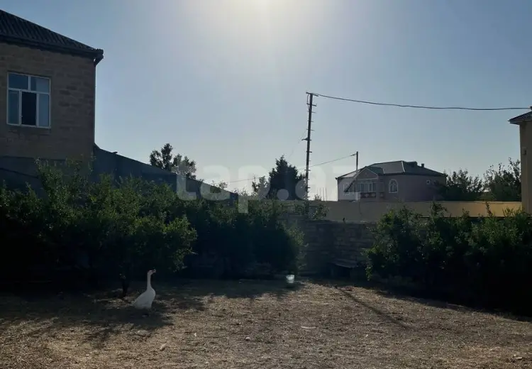 0 m² Obyekt / Ofis , Saray, Abşeron