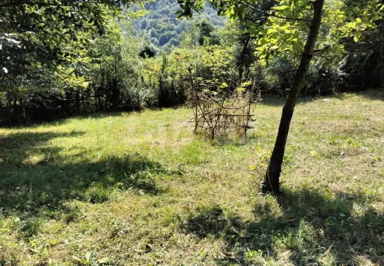 0 m² Obyekt / Ofis , Qəbələ