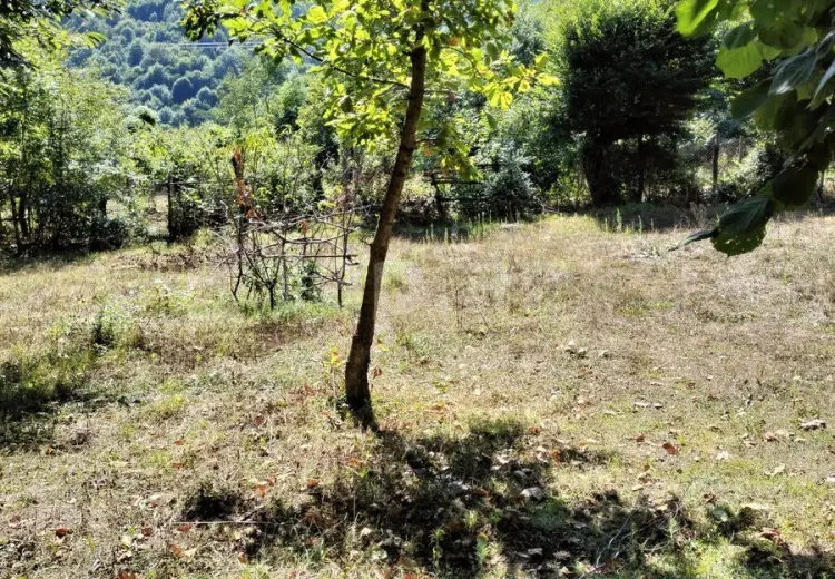 0 m² Obyekt / Ofis , Qəbələ