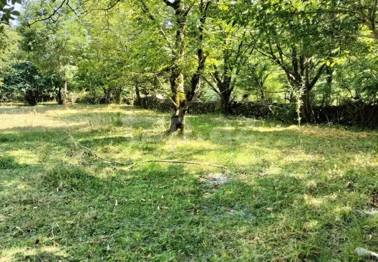 0 m² Obyekt / Ofis , Qəbələ