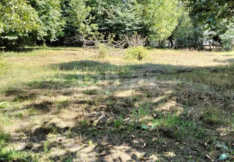 0 m² Obyekt / Ofis , Qəbələ