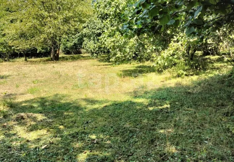 0 m² Obyekt / Ofis , Qəbələ