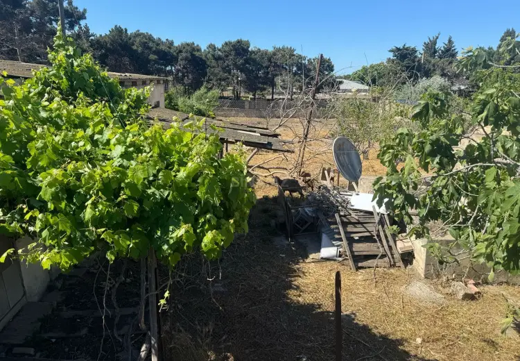 16 sot Torpaq Satılır, Mərdəkan, Xəzər, Bakı