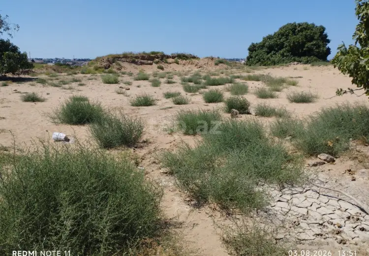 0 m² Obyekt / Ofis , Nardaran qəs., Sabunçu, Bakı
