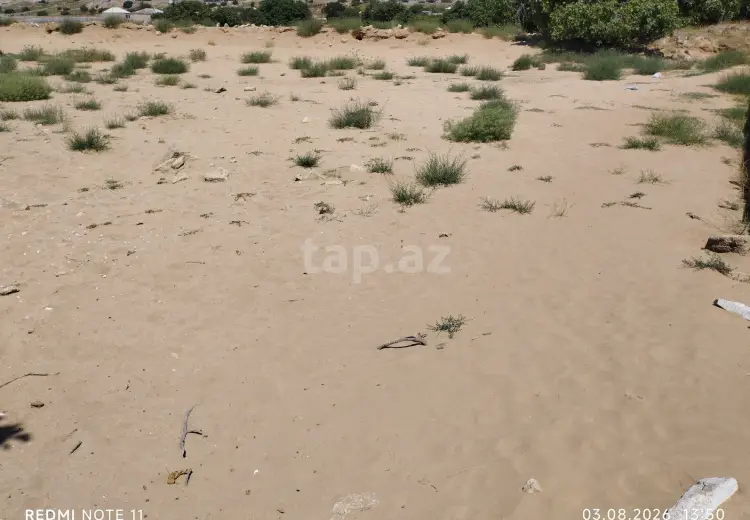 0 m² Obyekt / Ofis , Nardaran qəs., Sabunçu, Bakı