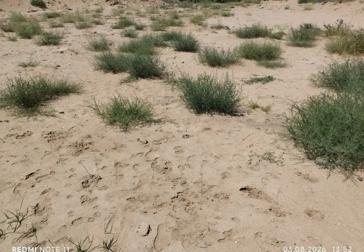 3000 sot Torpaq Satılır, Nardaran qəs., Sabunçu, Bakı