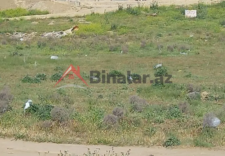14 sot Torpaq Satılır, Bakı
