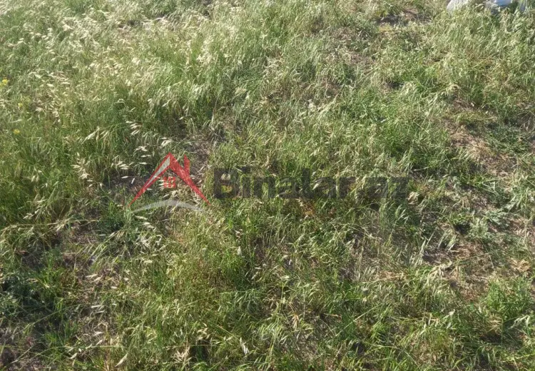 14 sot Torpaq Satılır, Bakı