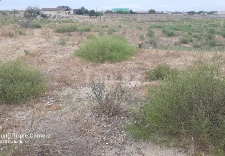 0 m² Obyekt / Ofis , Nardaran qəs., Sabunçu, Bakı