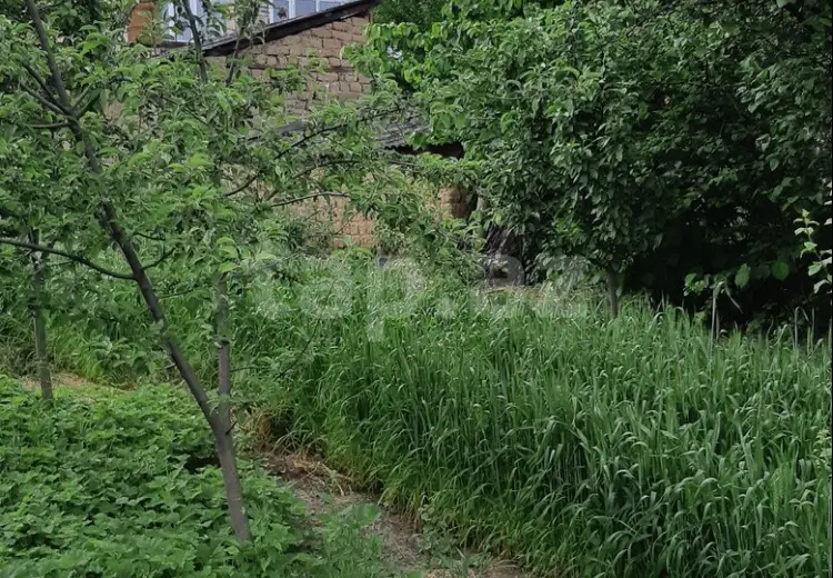4 otaqlı mənzil , Qusar