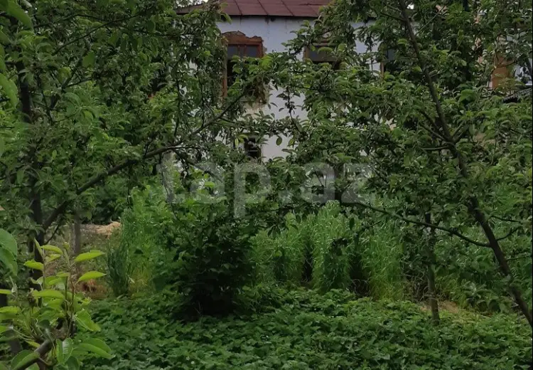 4 otaqlı mənzil , Qusar