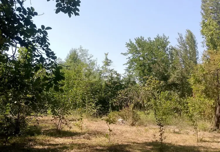 0 m² Obyekt / Ofis , Bərdə