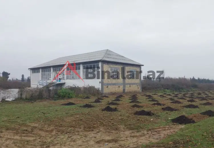 0 m² Obyekt / Ofis Kirayə (aylıq), Lənkəran