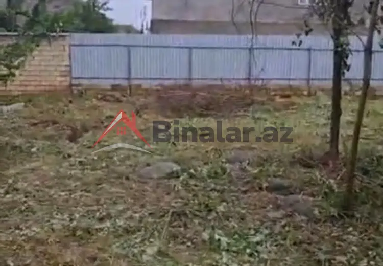 31 sot Torpaq Satılır, Lənkəran