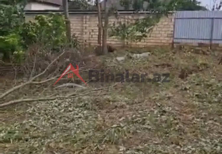 31 sot Torpaq Satılır, Lənkəran