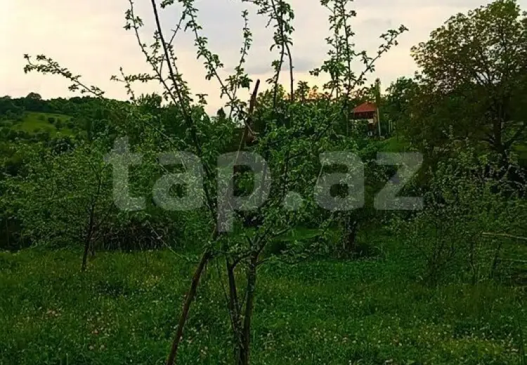 3 otaqlı mənzil , İsmayıllı