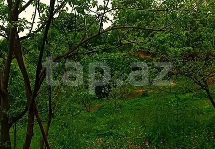 3 otaqlı mənzil , İsmayıllı
