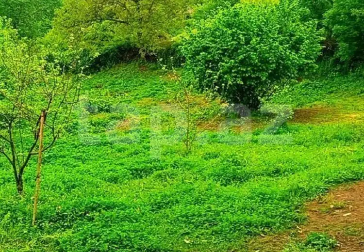 3 otaqlı mənzil , İsmayıllı
