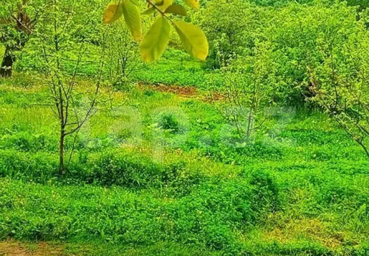 3 otaqlı mənzil , İsmayıllı