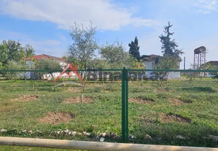 500 sot Torpaq Satılır, Qobustan