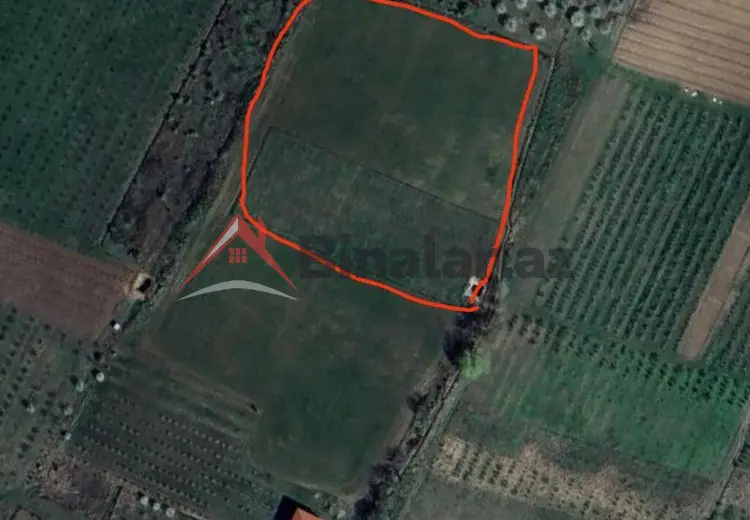 124 sot Torpaq Satılır, Quba
