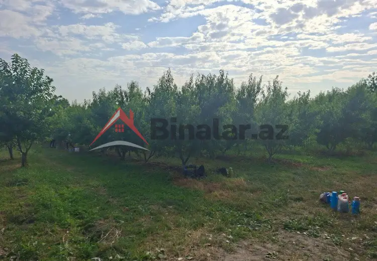 100 sot Torpaq Satılır, Quba