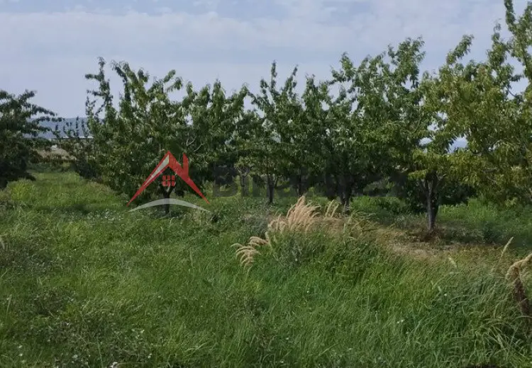 115 sot Torpaq Satılır, Quba