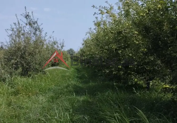 115 sot Torpaq Satılır, Quba