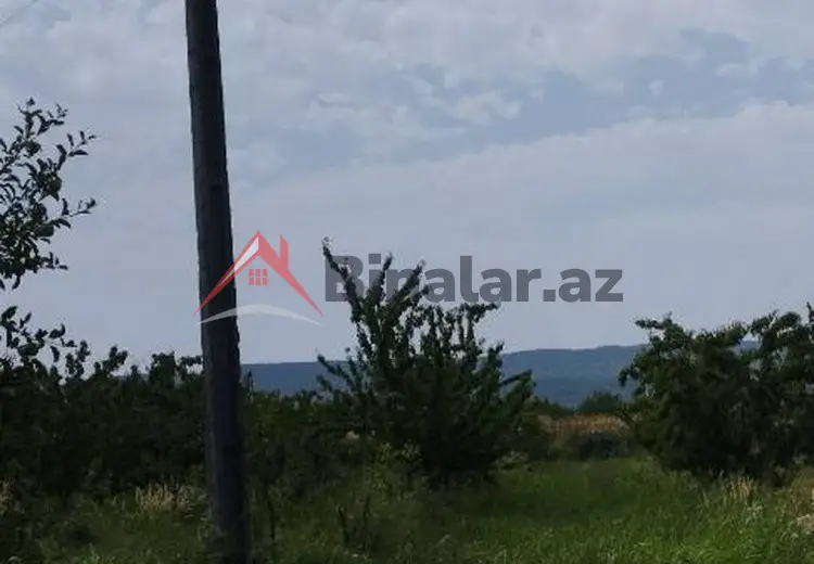 115 sot Torpaq Satılır, Quba