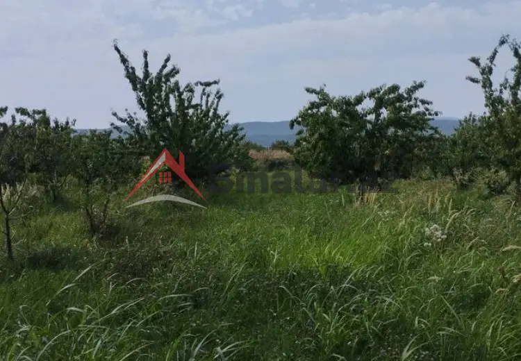 115 sot Torpaq Satılır, Quba