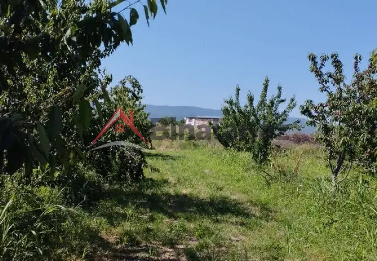 115 sot Torpaq Satılır, Quba