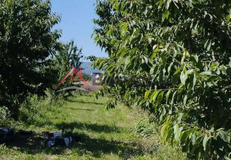 115 sot Torpaq Satılır, Quba