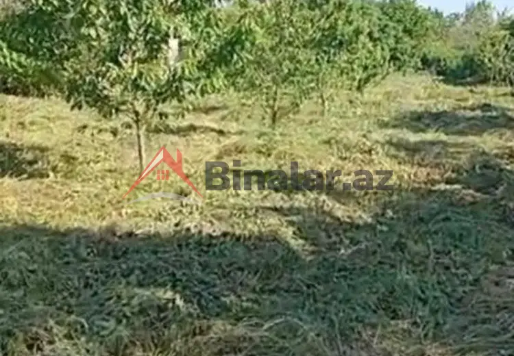 18 sot Torpaq Satılır, Quba