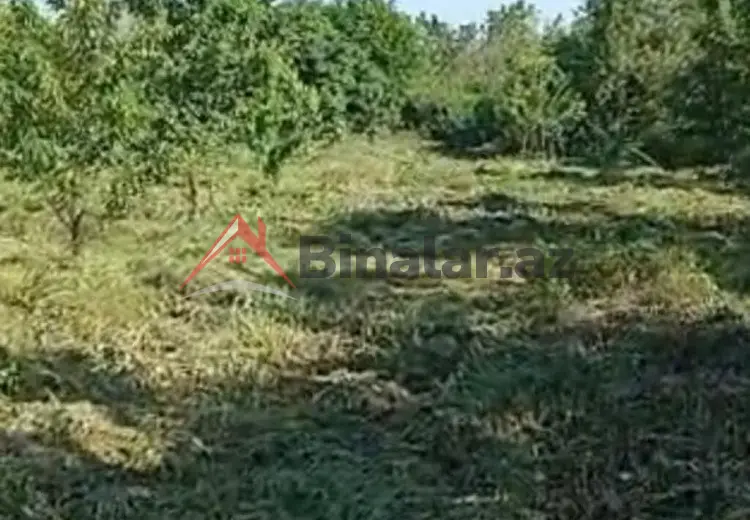 18 sot Torpaq Satılır, Quba