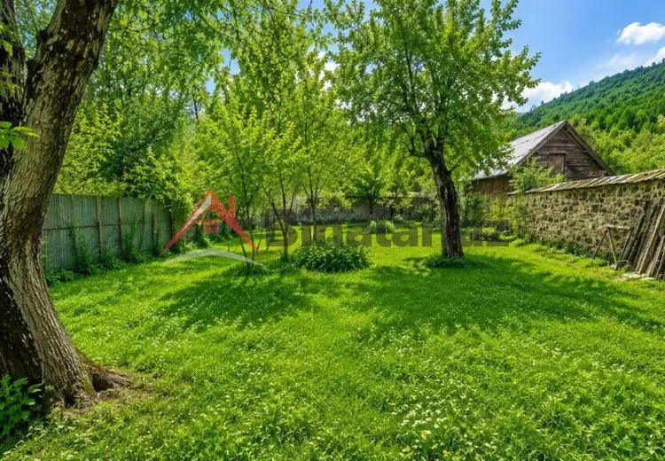 15 sot Torpaq Satılır, Qəbələ