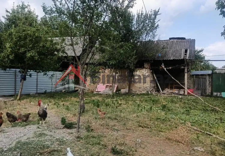 3 sot Torpaq Satılır, Qəbələ