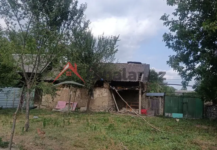 3 sot Torpaq Satılır, Qəbələ