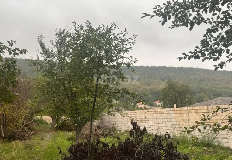 0 m² Obyekt / Ofis , Quba