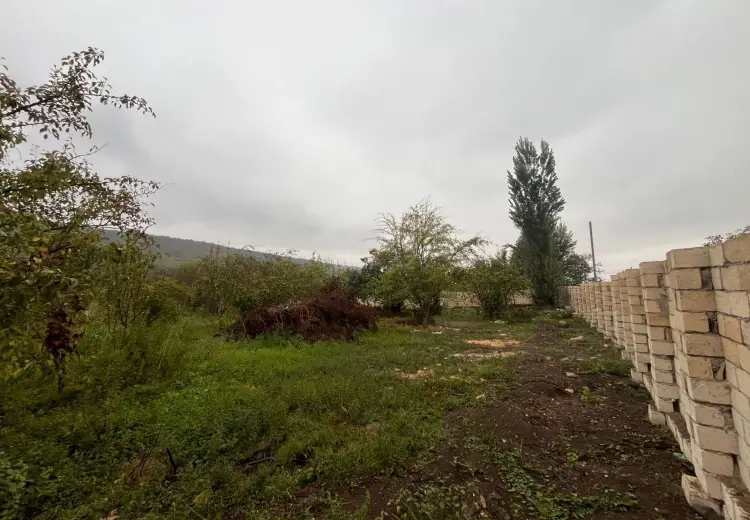 16.5 sot Torpaq Satılır, Quba