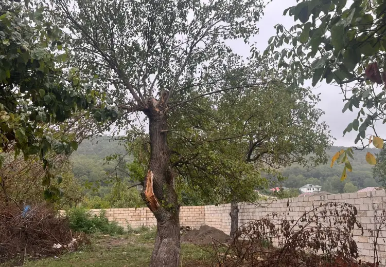 16.5 sot Torpaq Satılır, Quba
